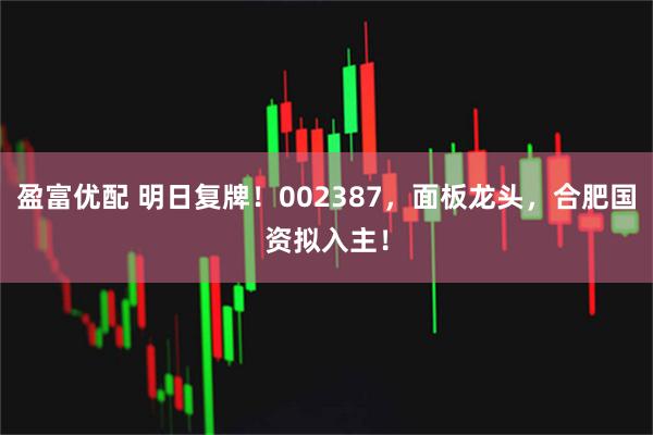 盈富优配 明日复牌！002387，面板龙头，合肥国资拟入主！