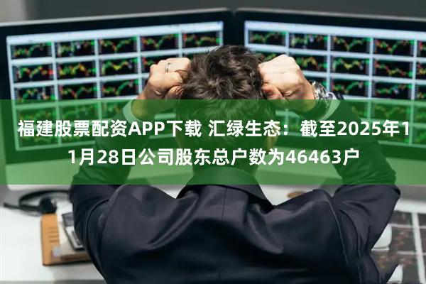 福建股票配资APP下载 汇绿生态：截至2025年11月28日公司股东总户数为46463户