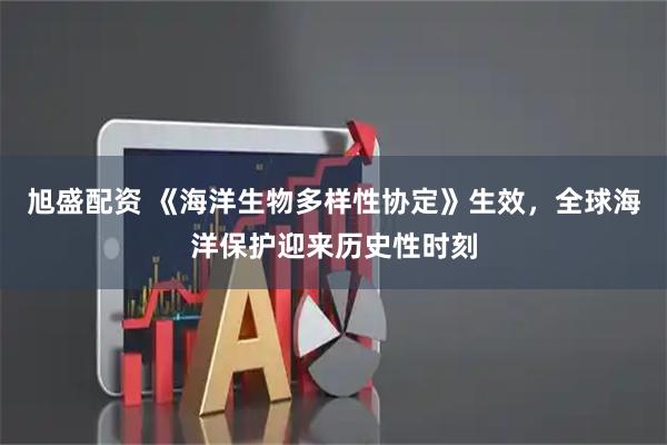 旭盛配资 《海洋生物多样性协定》生效，全球海洋保护迎来历史性时刻