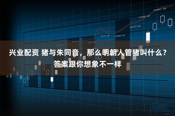 兴业配资 猪与朱同音，那么明朝人管猪叫什么？答案跟你想象不一样